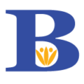 B Favicon.